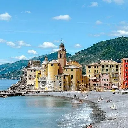Appartamento A Due Passi Da Camogli Near To Camogli, With Terrace&seaside View Recco